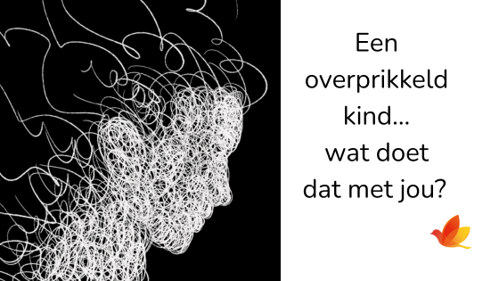 tips om weer rust te krijgen in het hoofd van je overprikkelde kind